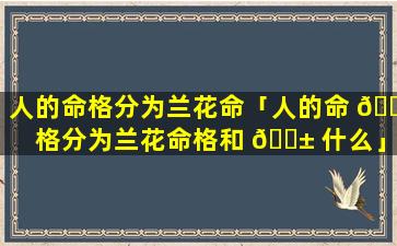人的命格分为兰花命「人的命 🐳 格分为兰花命格和 🐱 什么」